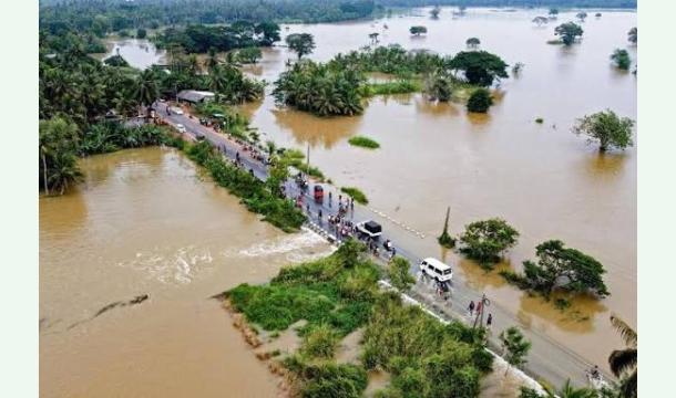 Cover Sri Lanka, we are the only ones living like this, we are innocent people, please respect us