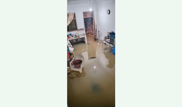 Cover We are devastated by the flood.