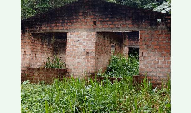 Cover Help us bullied a new house