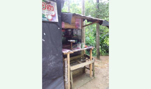 Cover Help me divelop my shop 