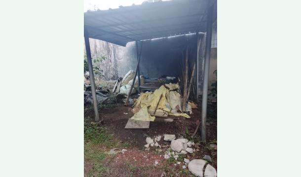 Cover From Pain to Purpose: A Fresh Start