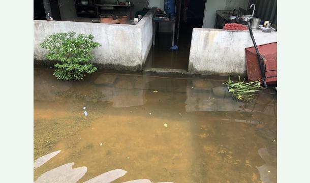 Cover My country's people are suffering a lot without a home. Please help us.