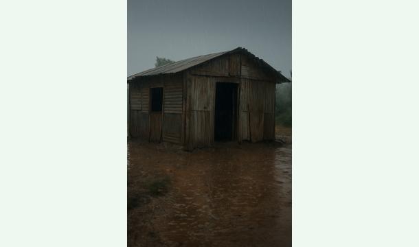 Cover Help us build a new house .