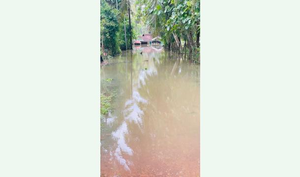Cover  storm caused the house to flood