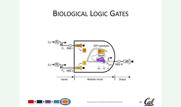 Cover Help Build a Breakthrough Cancer Treatment That Targets Tumors — Not People