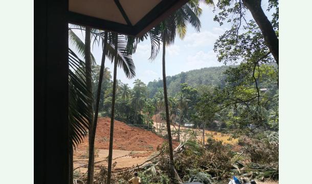 Cover Plz Help To Build a House