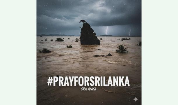 Cover Urgent Support Relief in Bloom 