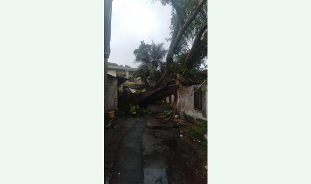 Cover I want to repair my house I need a new house please help me