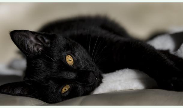 Cover SOS pour Athena 