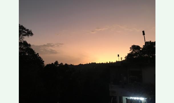 Cover The day my business died