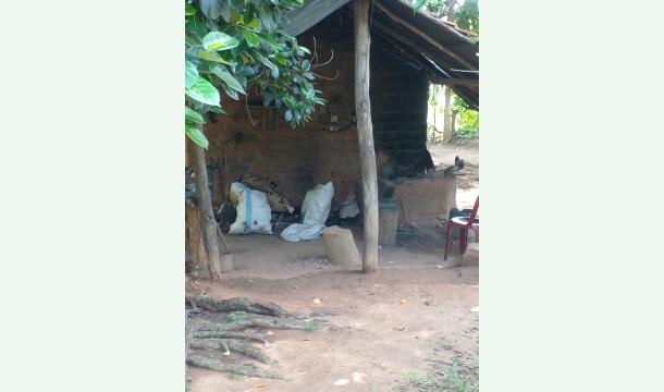 Cover Help me renovate my house.