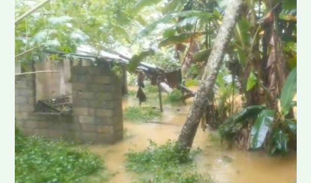 Cover ''Rebuilding Flood-Damaged Homes Near the River''