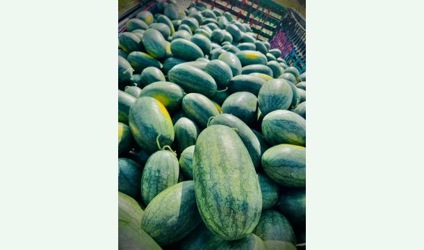 Cover Help Me Grow a Future: Support My Crop Cultivation Dream