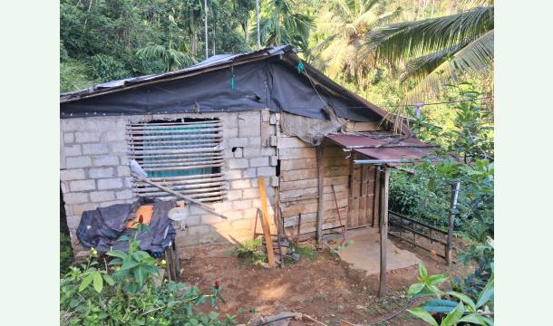 Cover Help me build my house 