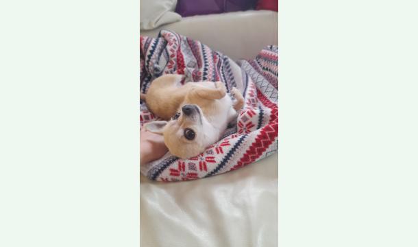 Cover Cagnotte pour l'opération de Alya