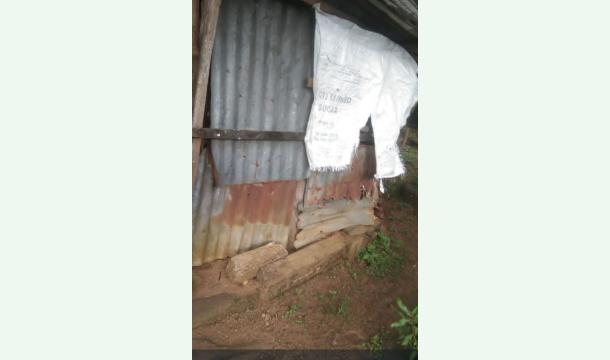 Cover Please help me build a house.