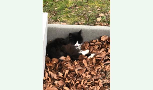 Cover Parce qu’ils comptent pour nous ! 