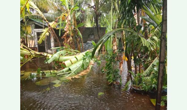 Cover Help Us Rebuild Our Life: Single Mother in Crisis