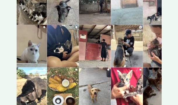 Cover Martins 40th - New Ranch Animal Rescue Fundraiser