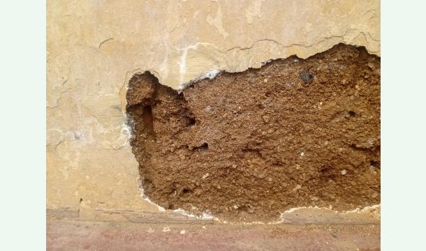 Cover Nivasak thana ganimata