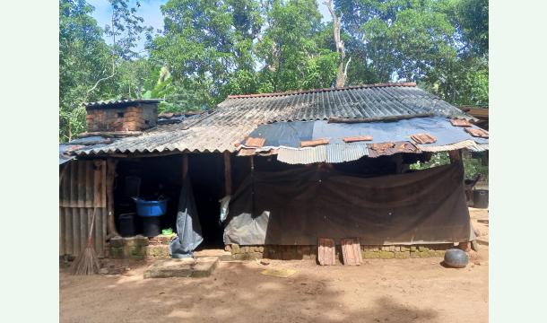 Cover My house repair 