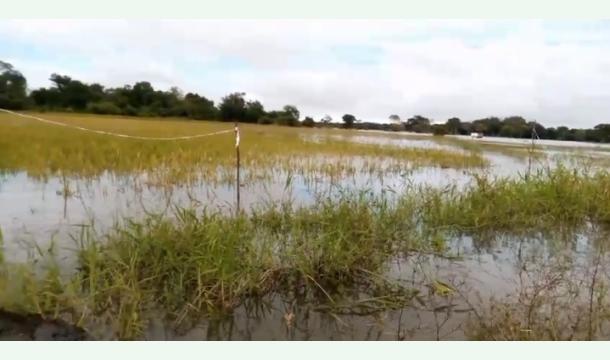 Cover When the flood flooded the crops that had been there for ten days, I thought - I need to ask you for...