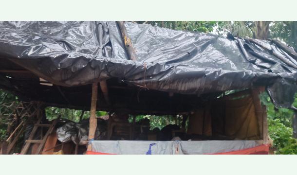 Cover Please help us build a new kitchen 