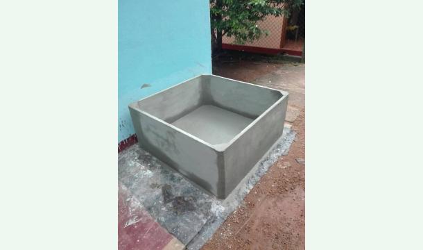 Cover  Ornamental fish 🐠