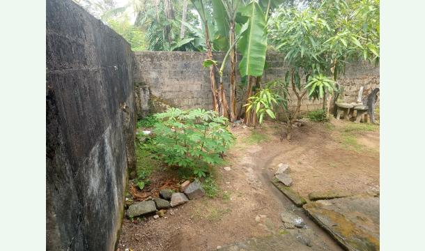 Cover Requesting money from you all for my birthday.... 🥺🙏🏻