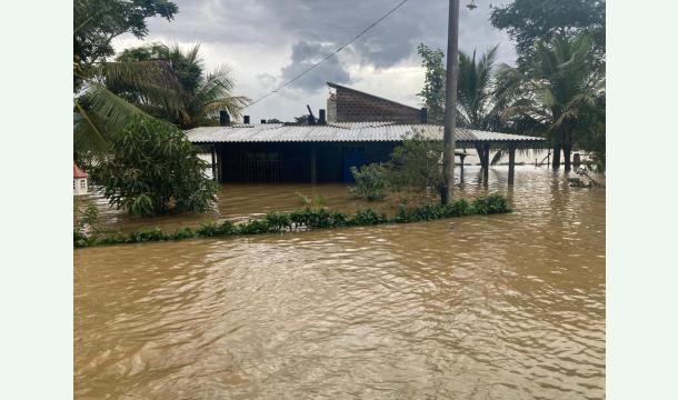 Cover My house was flooded and all my belongings were washed away.