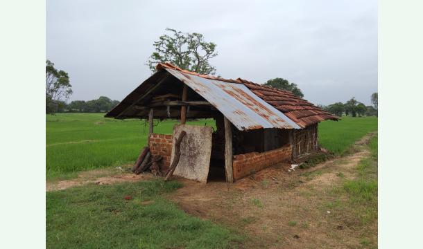 Cover Help Me Build a Safe Home and Continue My Education