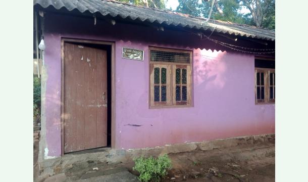 Cover Save my house.