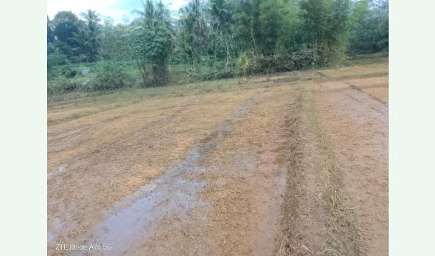 Cover I'm famer rebuild my life please help me 