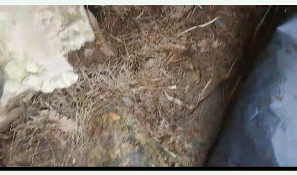 Cover Landslide Damage