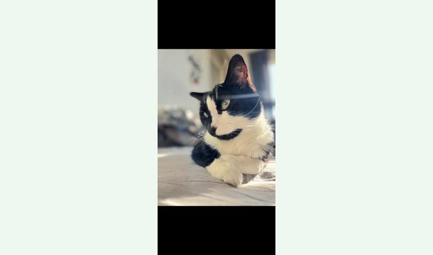 Cover Soins pour Yago 