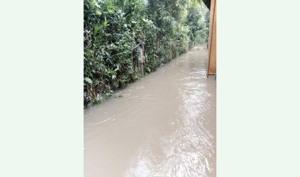 Cover Helping hand for 3 kids 