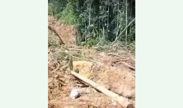 Cover To rebuild a house destroyed by a landslide