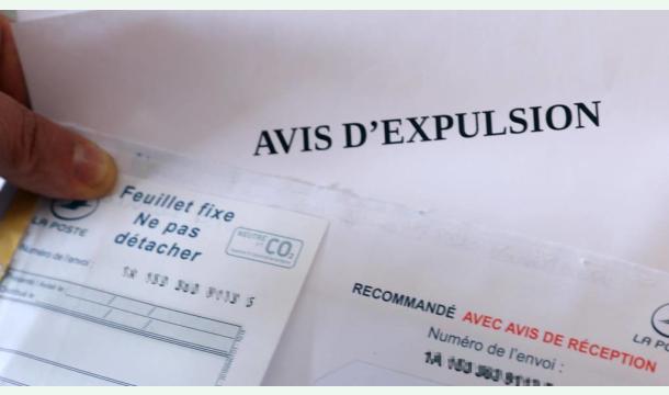 Cover S'il vous plaît ; Aidez nous avant qu'il ne soit trop tard.