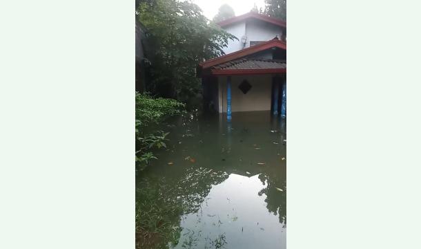 Cover Please help me rebuild my house. 