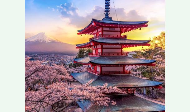 Cover Le projet de mes 30 ans