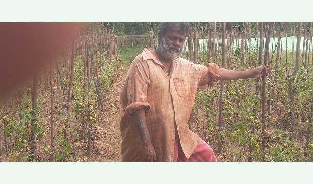 Cover Emergency help  needed  cyclone  destroyed my  vegetable farm 