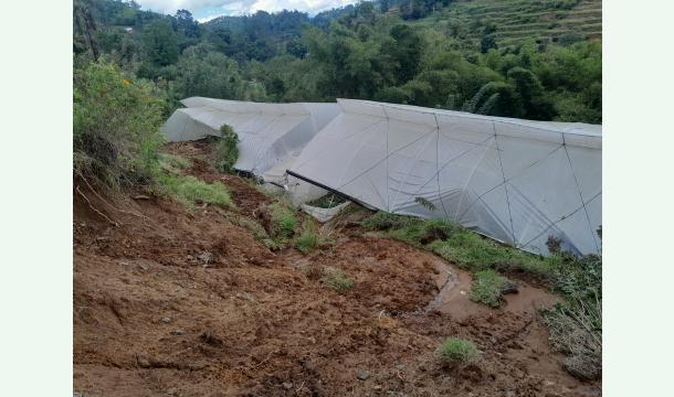 Cover To restart green houses