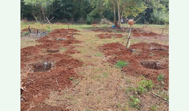 Cover I kindly request all of you to help me build a house.