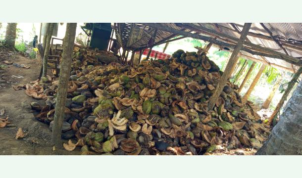 Cover “Help Expand a Small Coconut Husk Business”