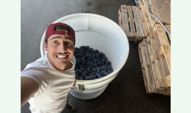 Cover Anniversaire de Damichou 🍷