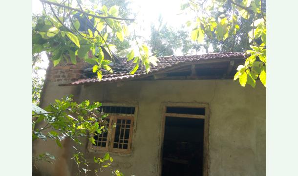 Cover Help us build a new roof.