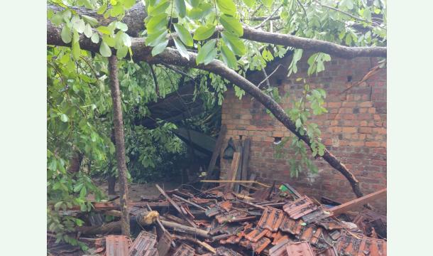 Cover My broken, poor house and toilet building