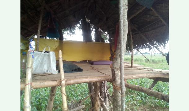 Cover Help Us build a New House🙏