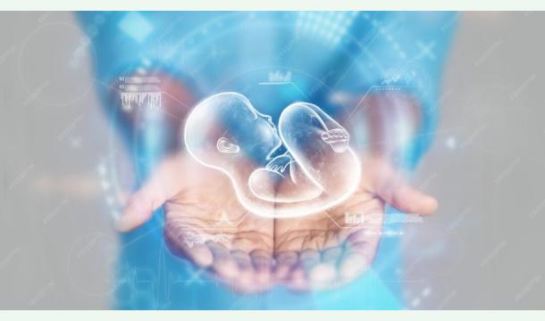 Cover Soutien pour un projet de fécondation in vitro