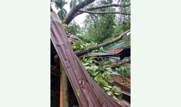 Cover I Want to Make My HHouse.